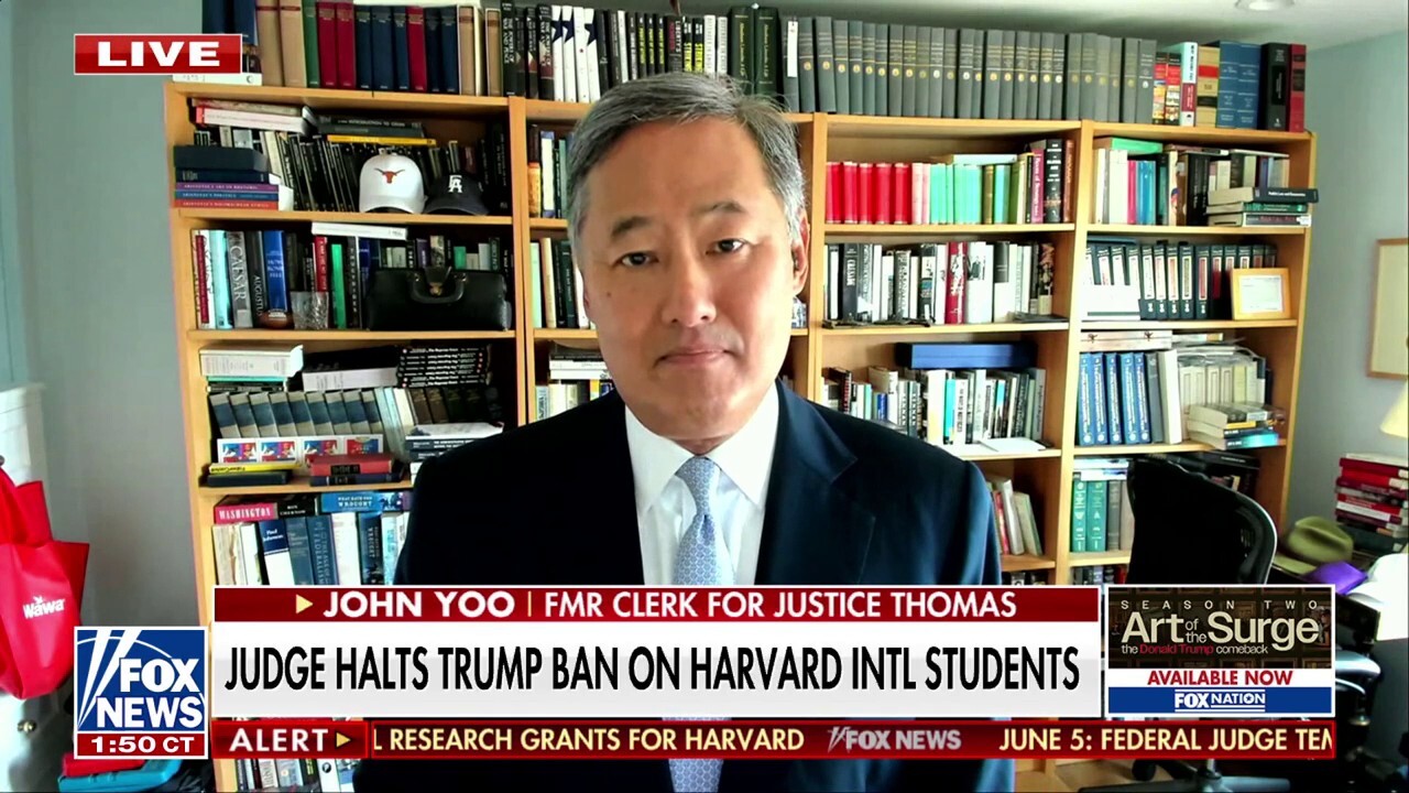 Immigration fight with Trump is a ‘dangerous gamble’ for Harvard, says John Yoo