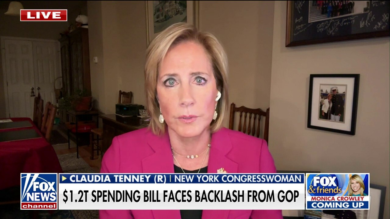 Rep. Claudia Tenney on what a potential government shutdown would look like: 'It concerns me'