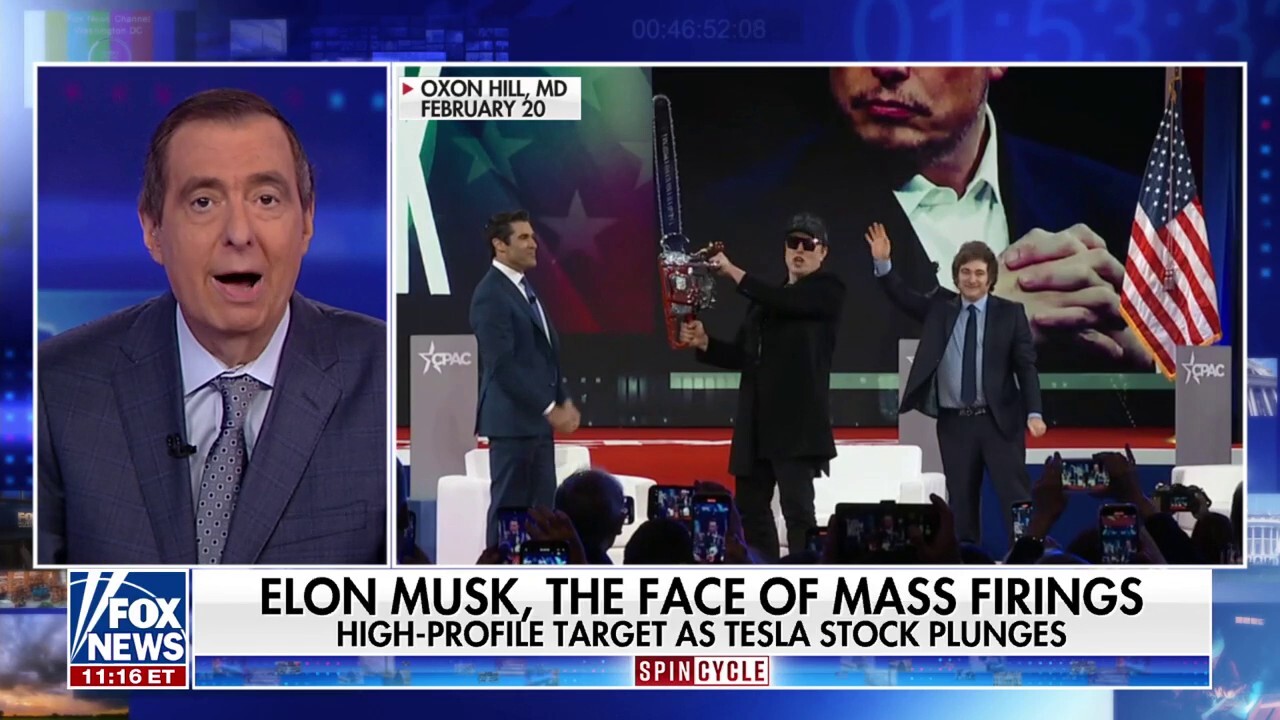 Elon is Trump's 'heat shield' against government cuts, Democratic strategist says