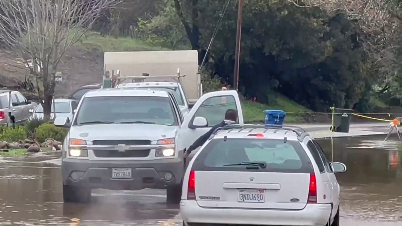 Man catches fish with bare hands in flooded California street