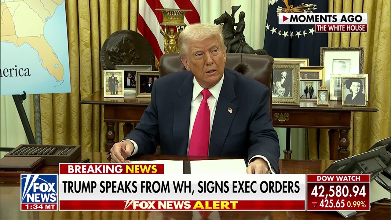 President Trump on tariffs: This is about companies, countries 'ripping off' US