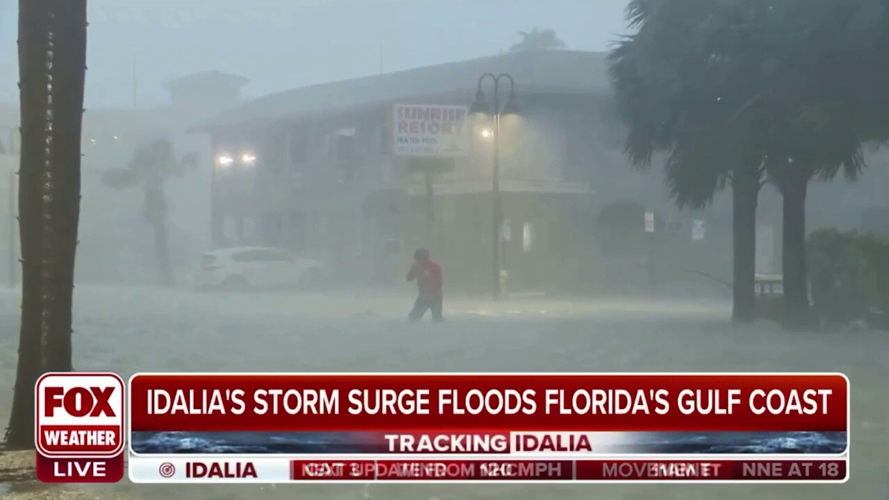 FOX Weather's Robert Ray hit with strong winds, flooding during Hurricane Idalia report