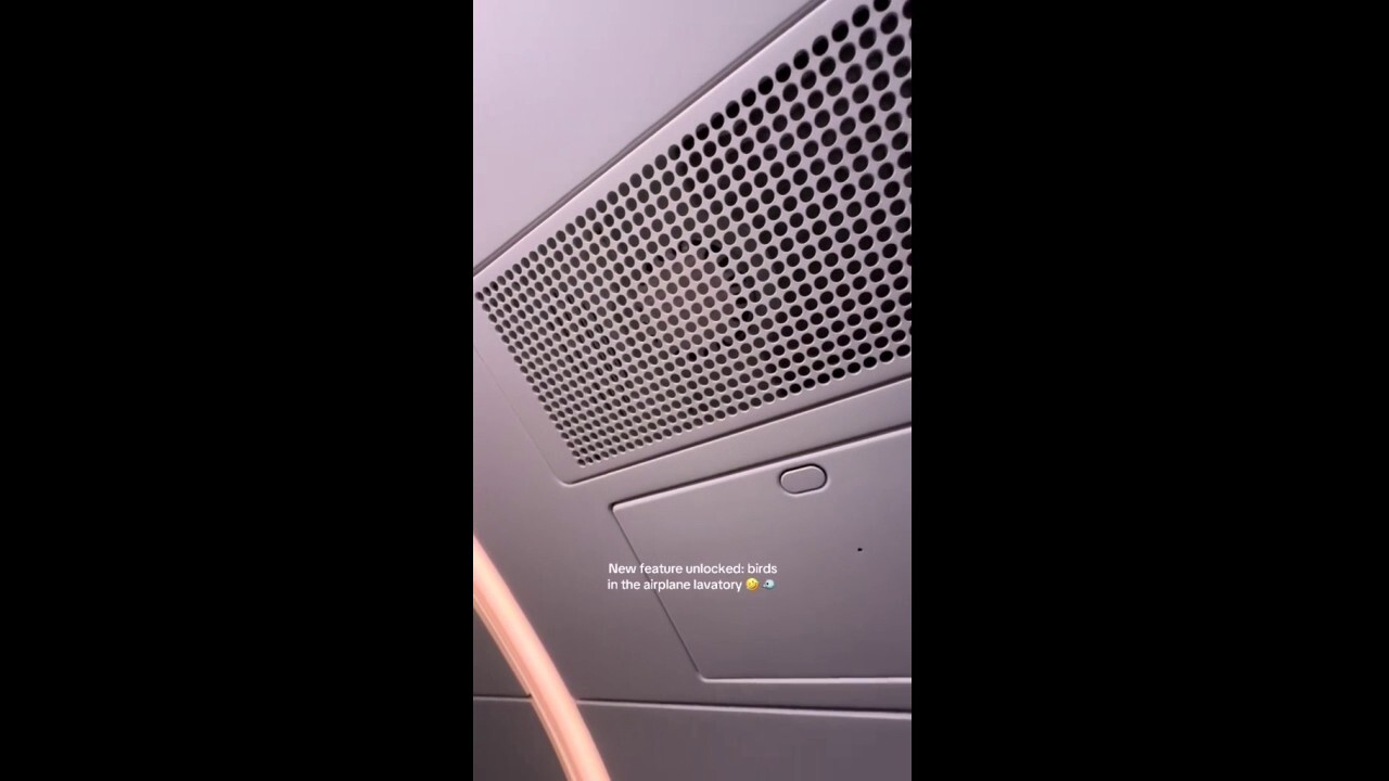 Flight attendant reveals airplane toilets now play birdsongs to muffle awkward sounds