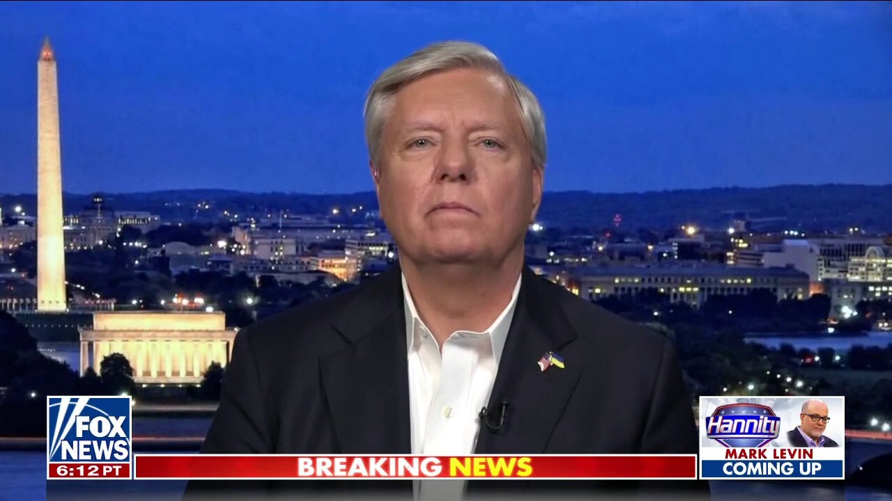 The Republican party owes it to Americans to not just describe the problem, but fix it: Sen. Lindsey Graham