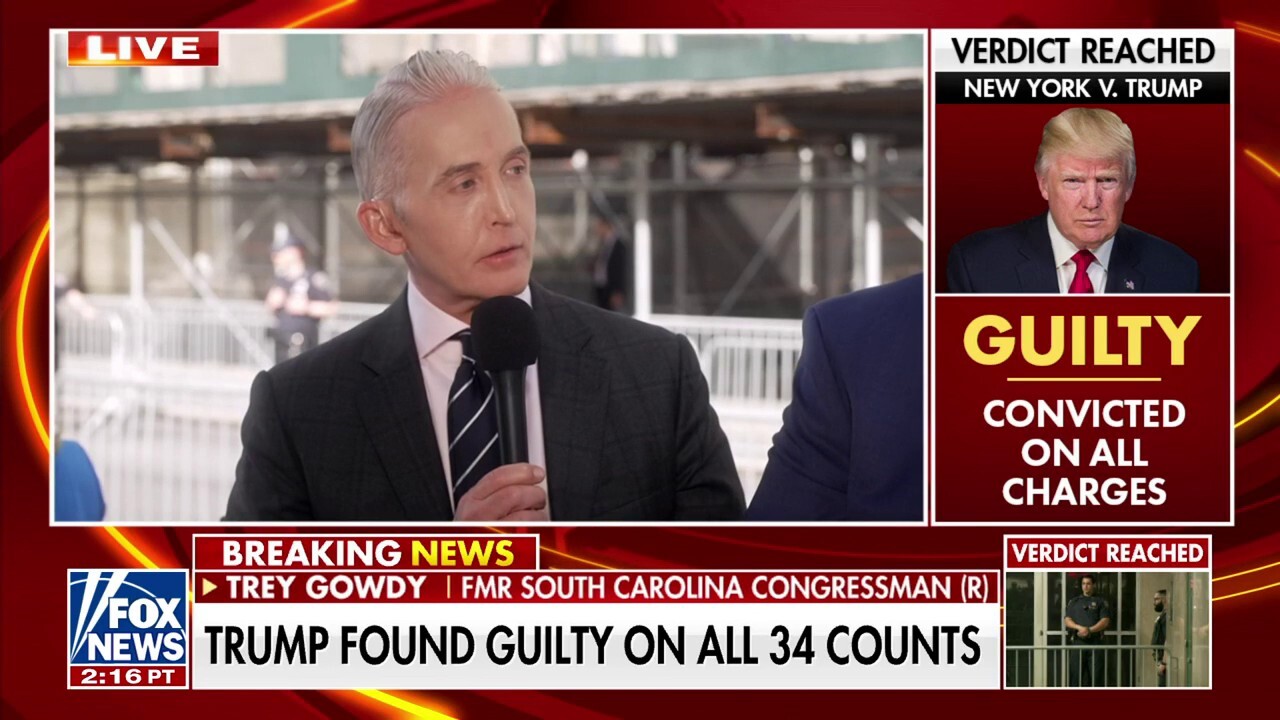 We don't know what the secondary crime was: Trey Gowdy