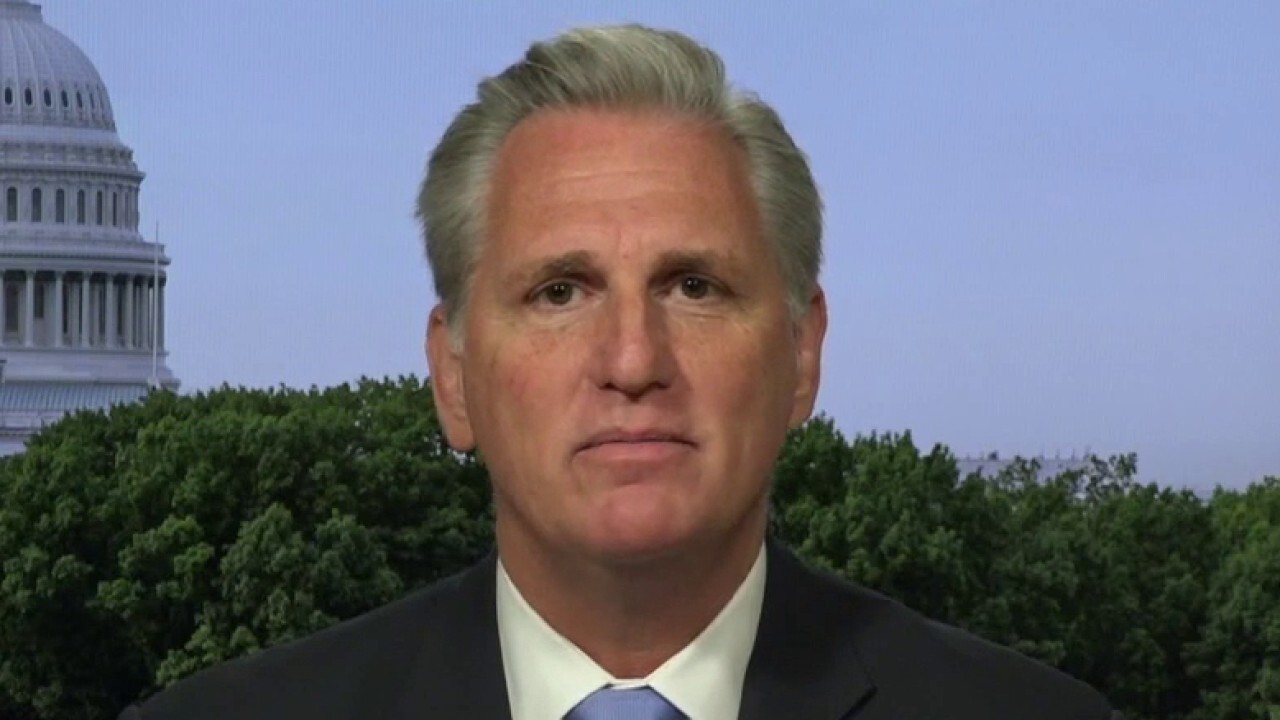 Rep. McCarthy: What is the Democrats agenda, how are we going to make tomorrow better?