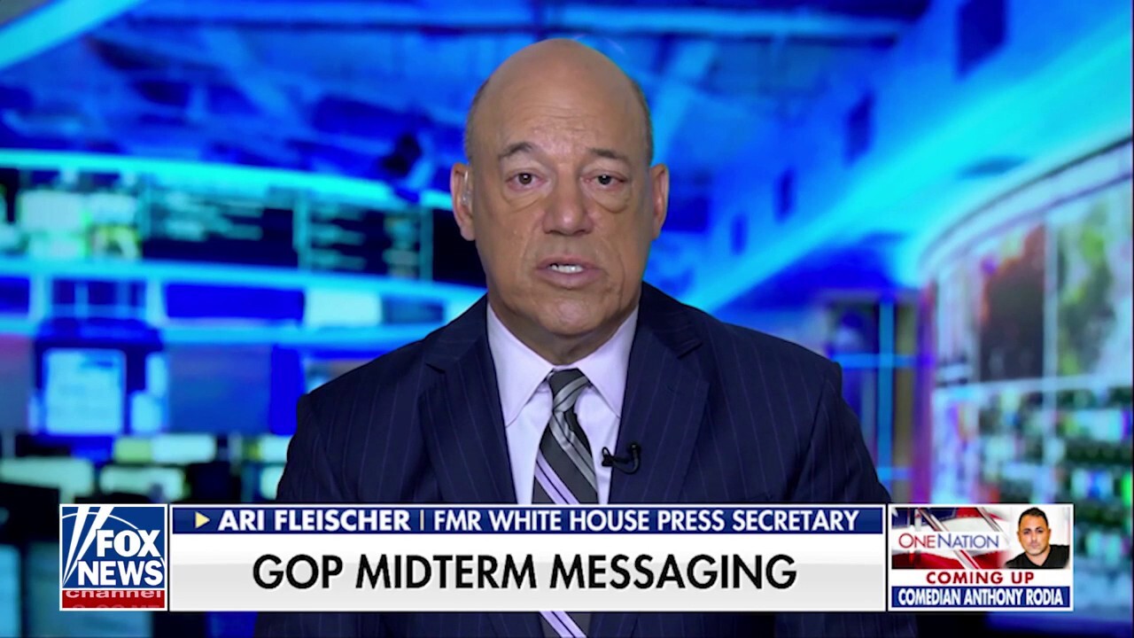 Town halls are now attended by professional Democratic protestors, Ari Fleischer says