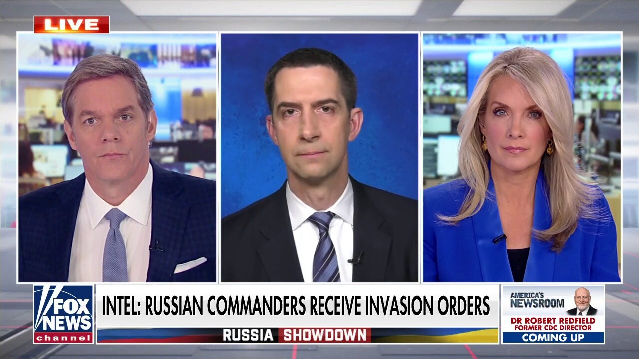 Tom Cotton on 'America's Newsroom': Putin believes 'now is the time' to go for 'jugular' in Ukraine