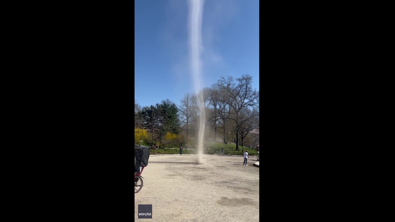 Dust devil spins near horse carriages at Central Park in New York City