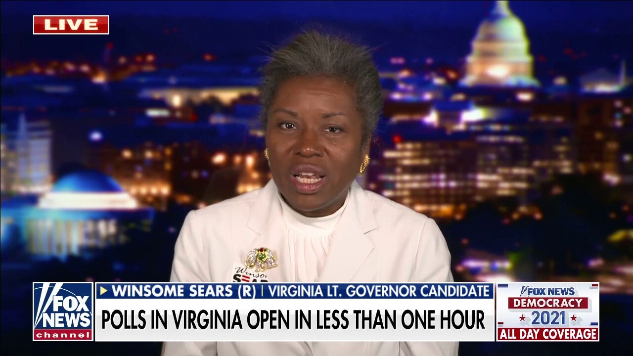 Virginia Lt. Gov. candidate torches Dems for manipulating Black voters: Voters are 'sick of it'