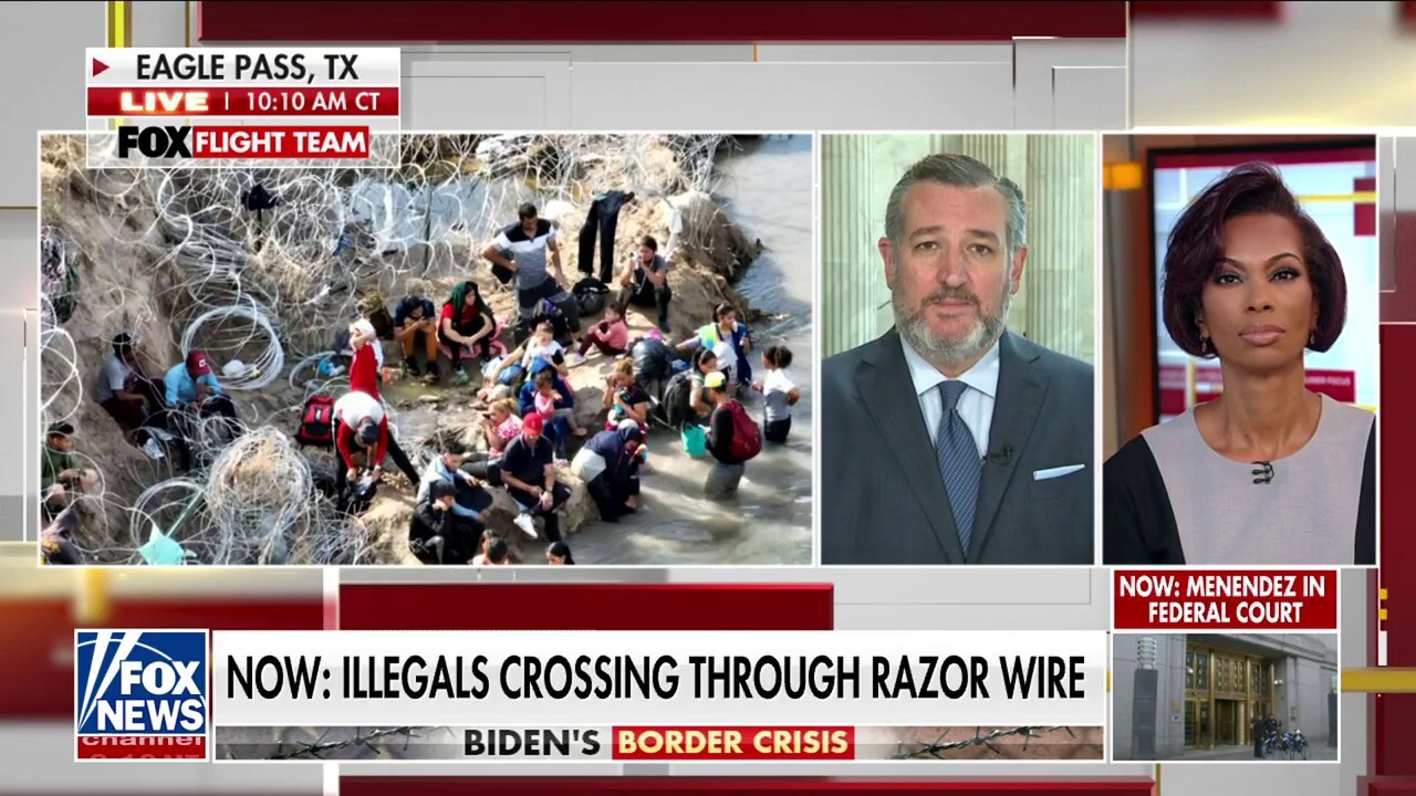 Sen. Ted Cruz: The best thing to ever happen for cartels was Biden becoming president