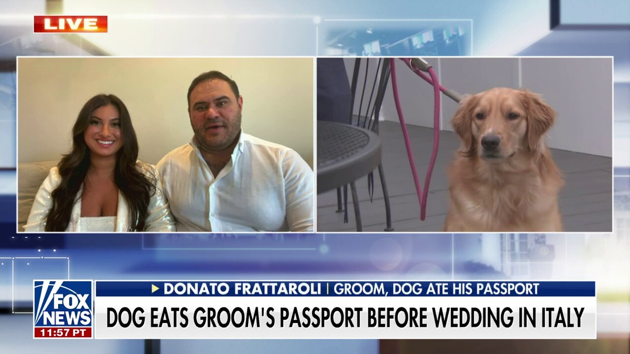  Dog eats groom's passport before Italian wedding
