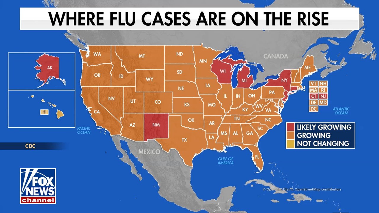 Flu cases on the rise early as medication purchases surge