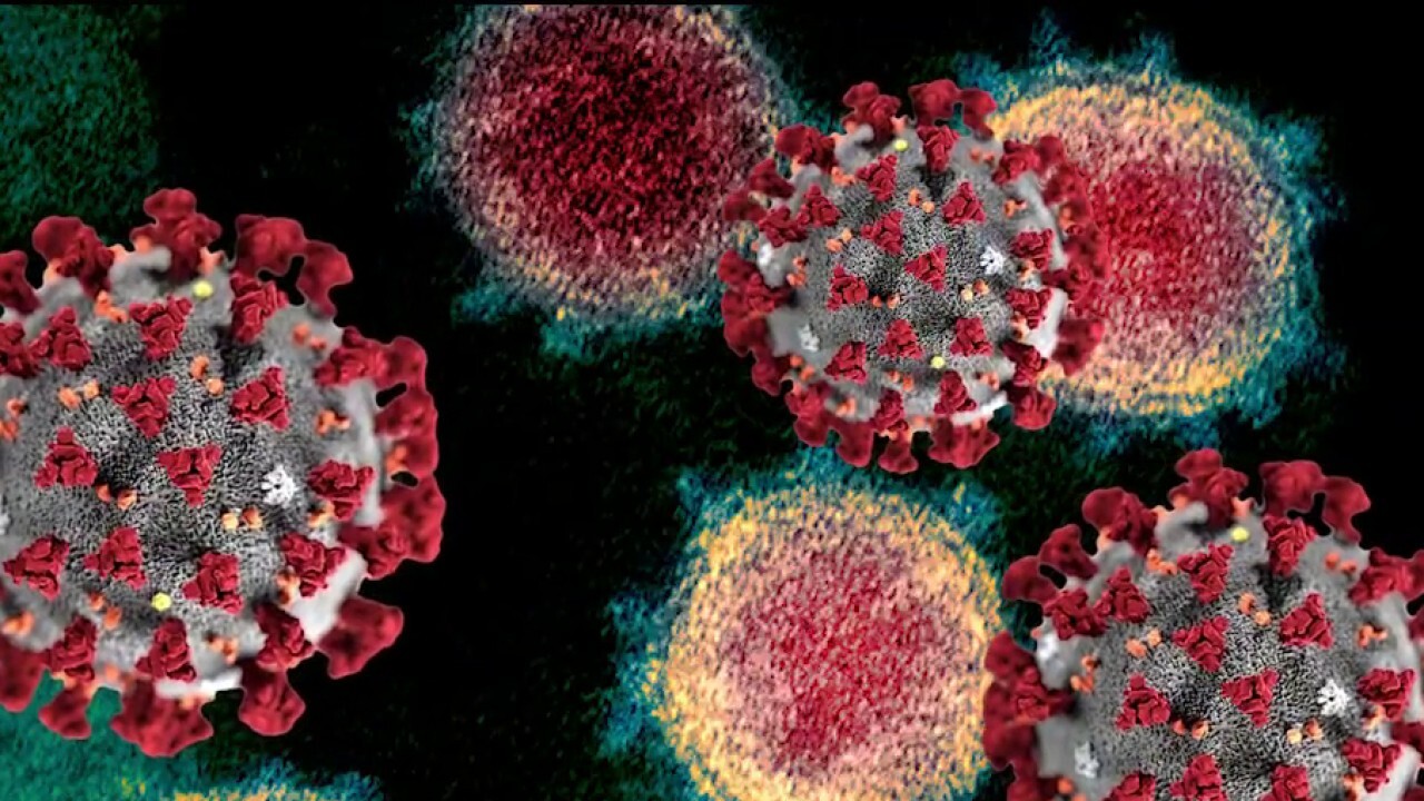 US mounting probe into Chinese lab, coronavirus origins 