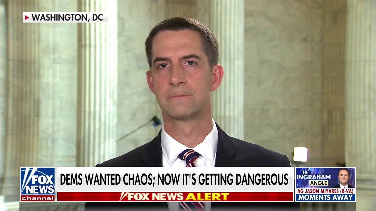 Sen. Tom Cotton: Democrats 'need to act now' to protect Supreme Court justices