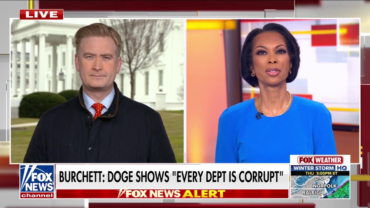 Peter Doocy: DOGE is trying to 'reboot the whole system'