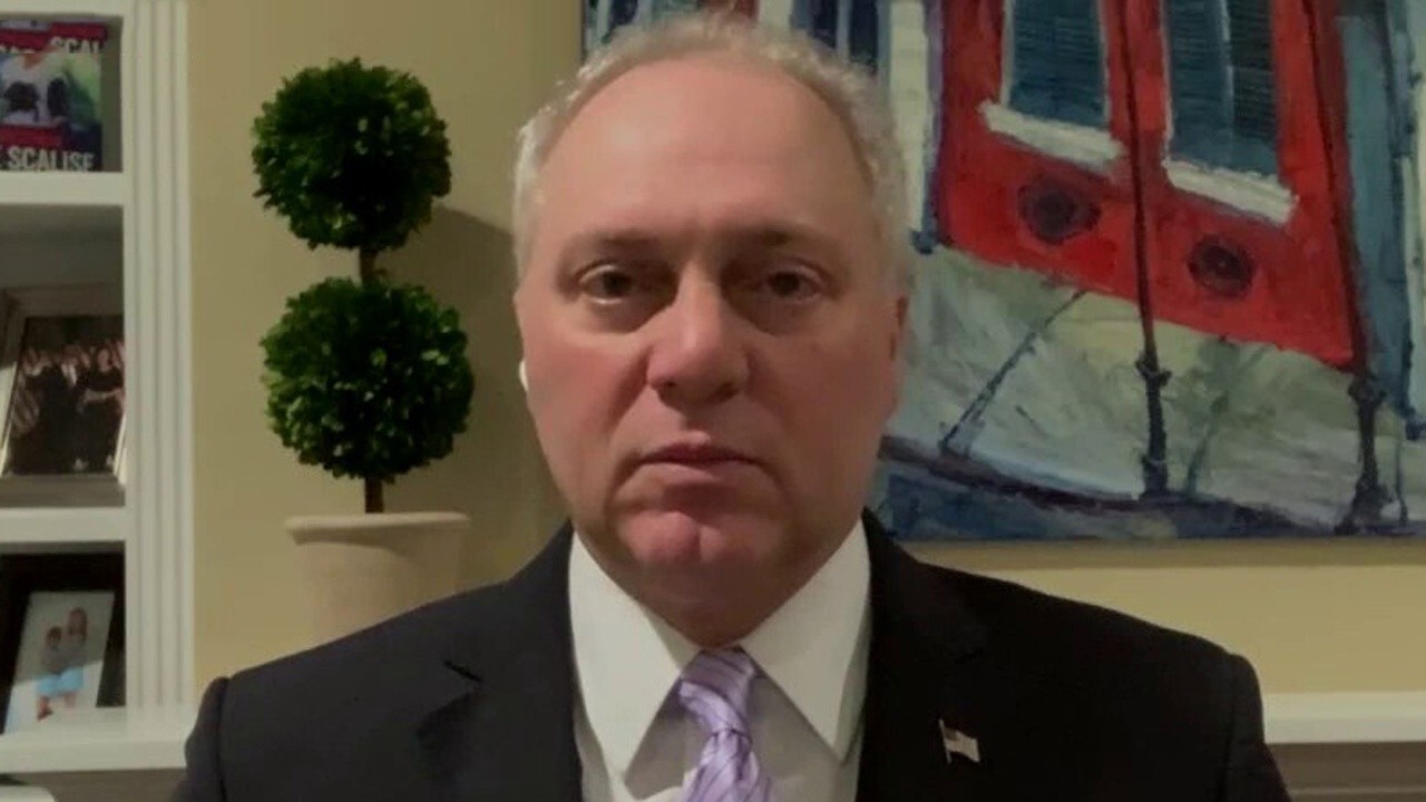 Scalise calls on Democrats to tone down rhetoric: 'People are afraid'