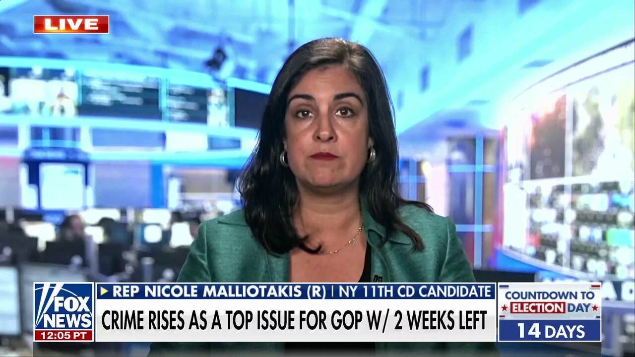 New Yorkers are ‘fed up and tired’ with Democrats: Rep. Nicole Malliotakis