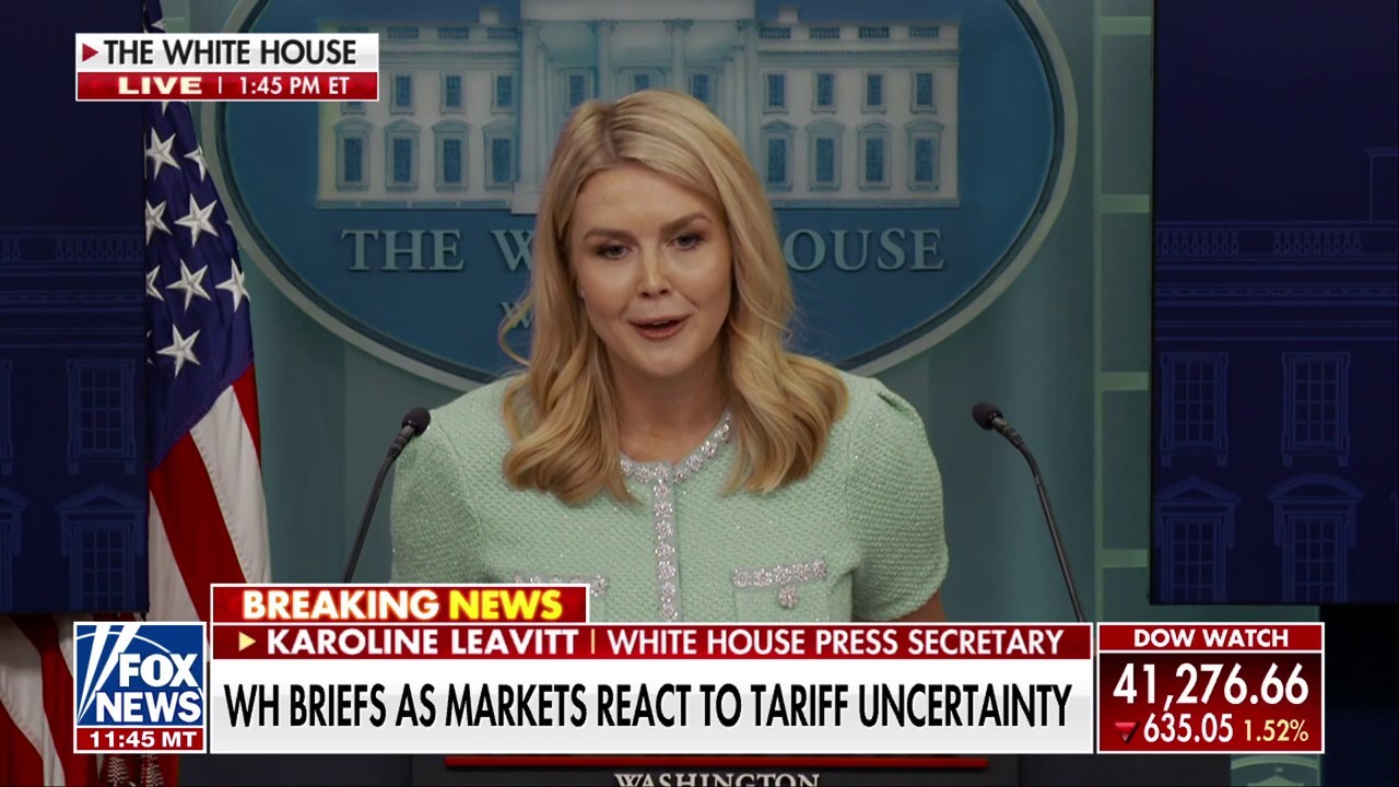 Karoline Leavitt blasts 'insulting' question from AP reporter on tariffs