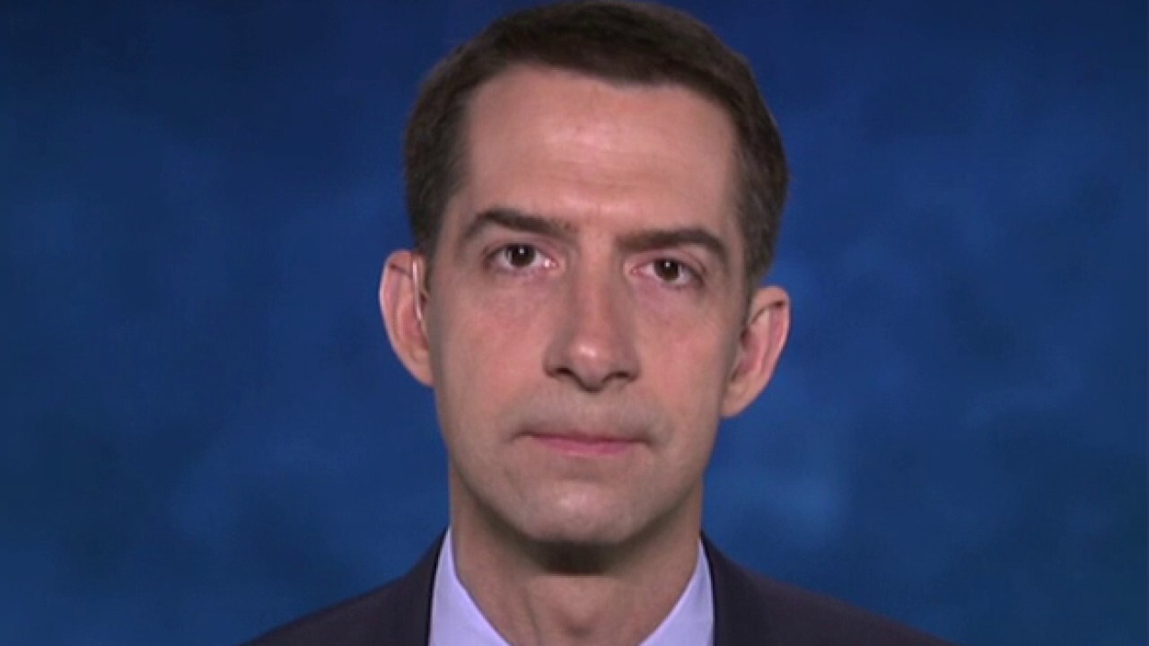 Sen. Cotton lays out consequences China must face