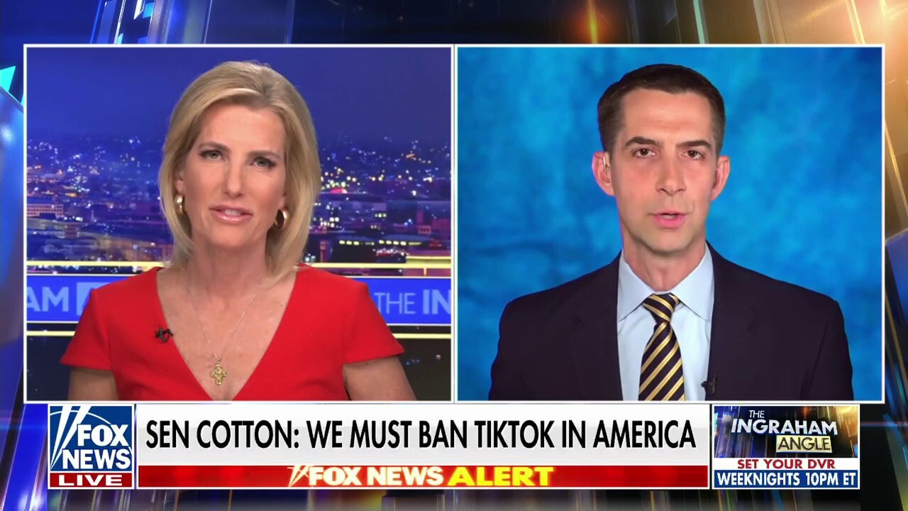 Sen. Tom Cotton: We must ban TikTok in America