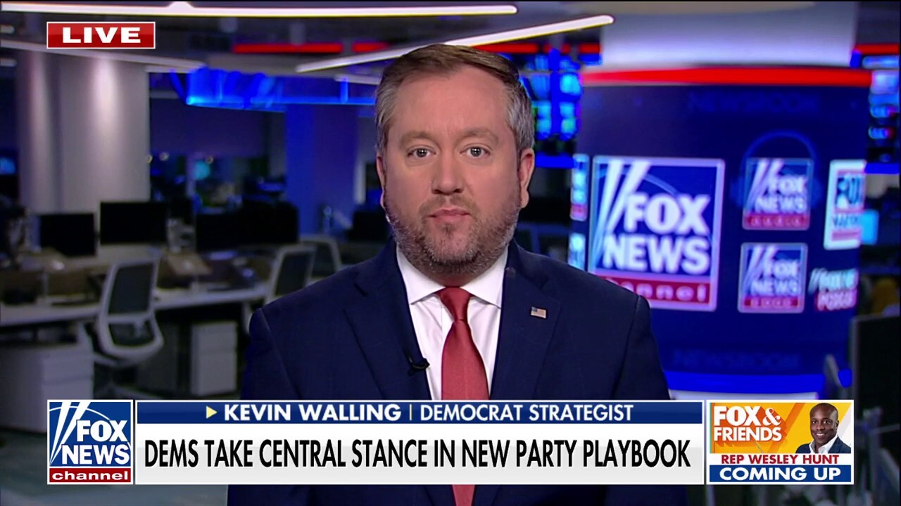 Democrat strategist stresses focus on the present: 'Who cares about 2029'