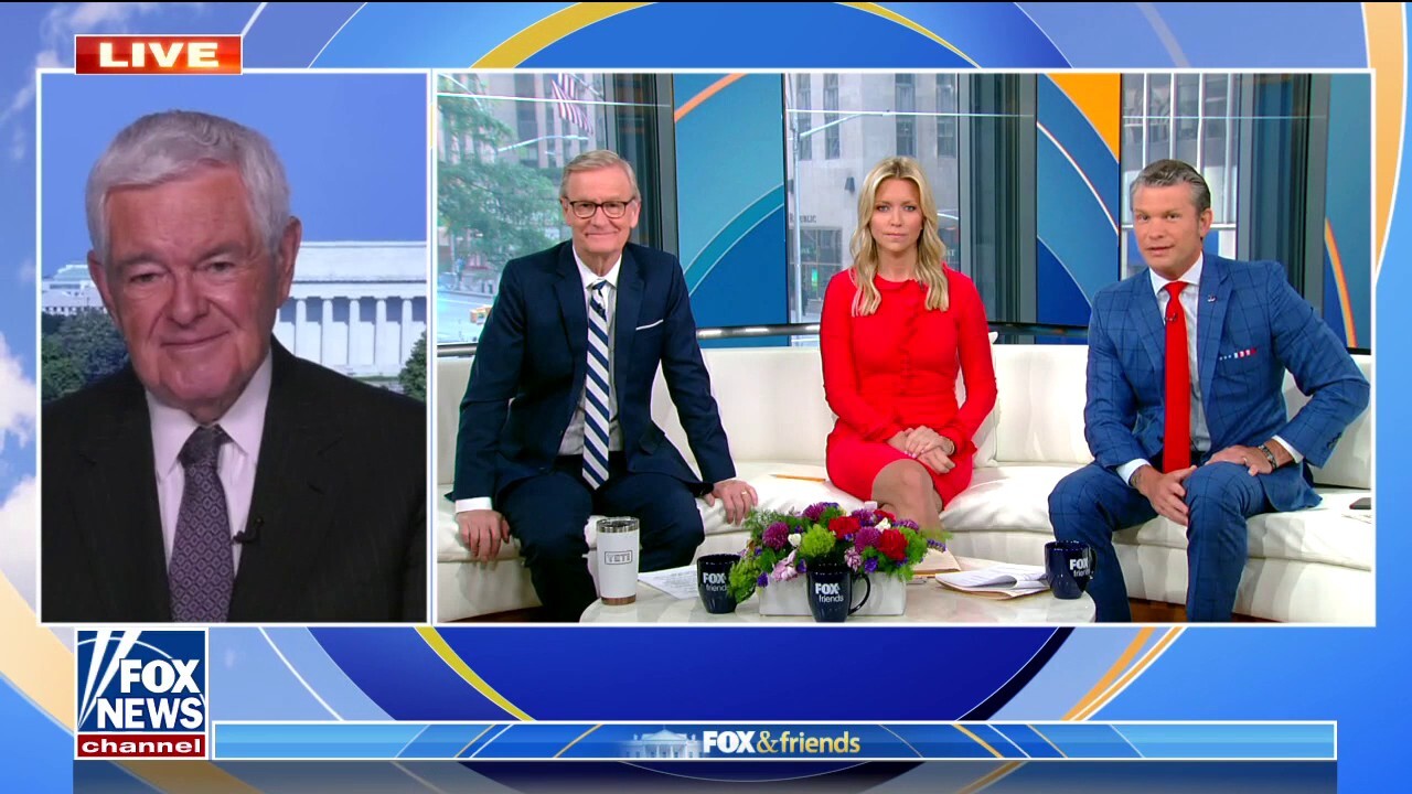 Newt Gingrich on 'Fox & Friends': We’ve crossed a 'watershed' moment in American politics