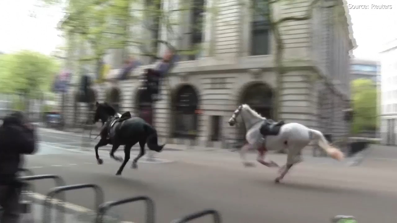 2 военни коня в тежко състояние, след като се освободиха и тичаха свободно из Лондон