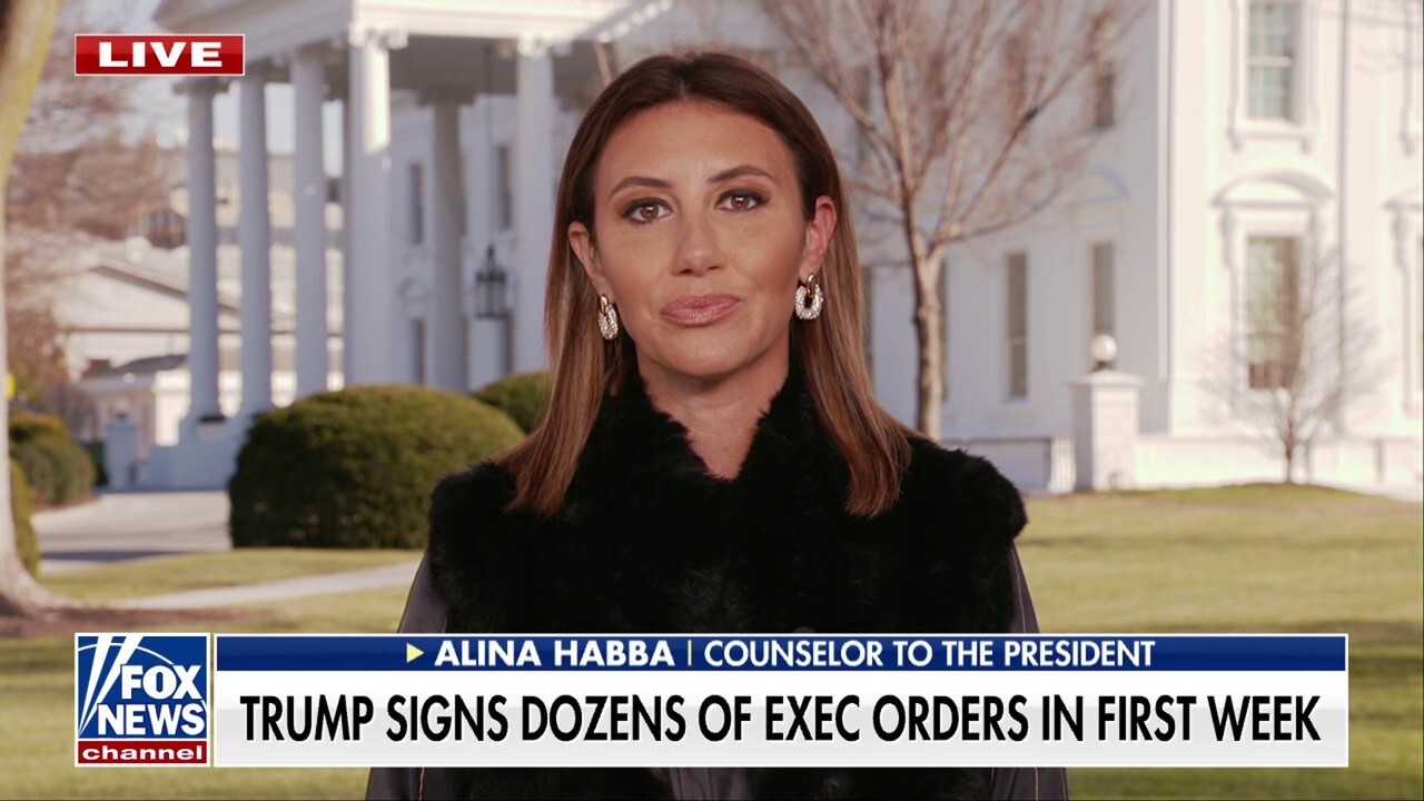 Alina Habba: Every Trump appointee is 'America first'