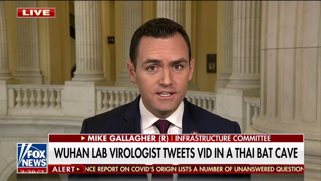 Rep. Mike Gallagher on possible 'Twitter files' drop on COVID: 'Fauci thinks it's all about him'