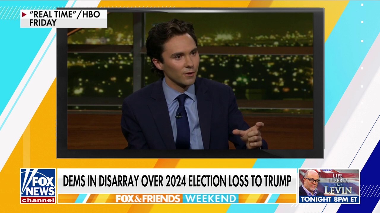 DNC vice chair blasts party as ‘judgmental,’ warns of losing young voters