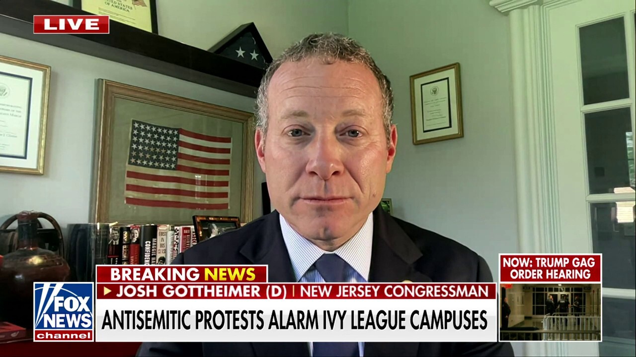 Rep. Josh Gottheimer, D-N.J., reacts to ongoing anti-Israel demonstrations on college campuses and says all students should feel safe 