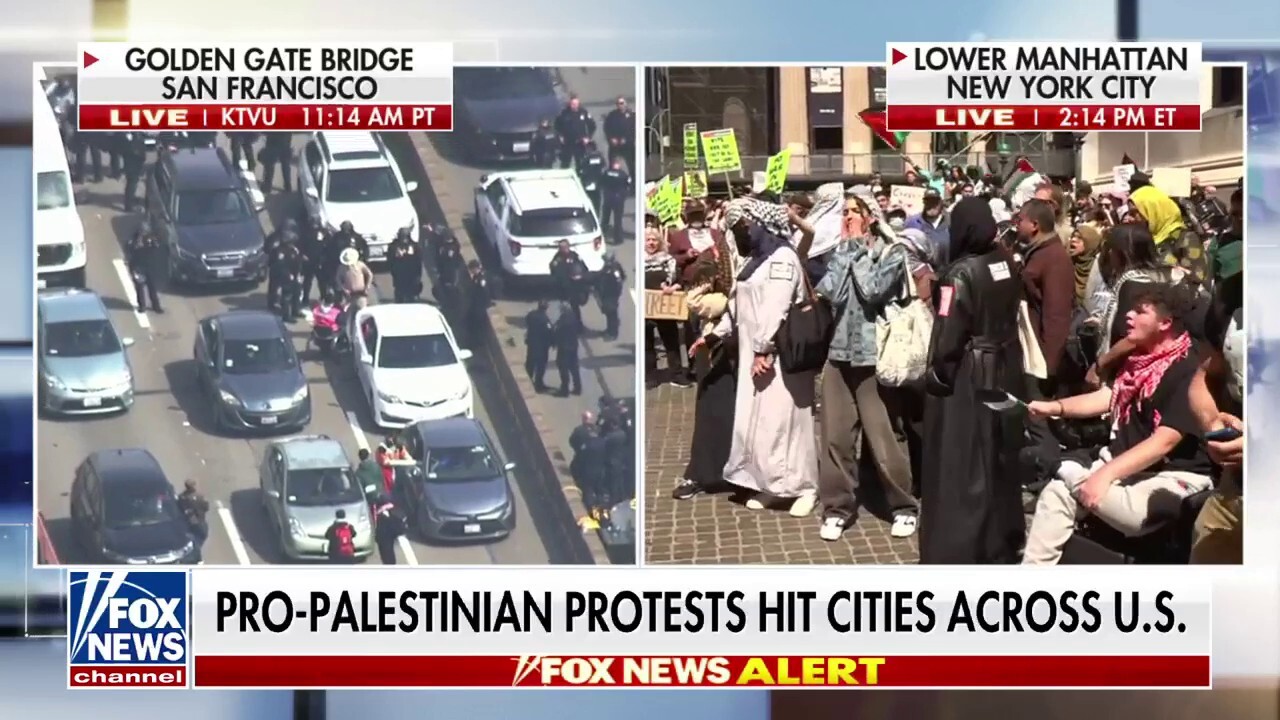  Sen. Tom Cotton on anti-Israel protests: This is a 'revolting display of moral equivalence'