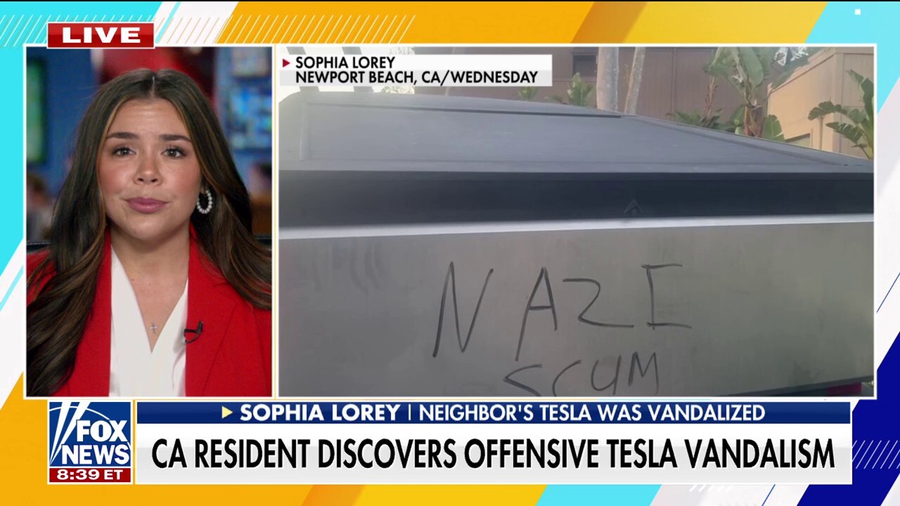 California resident recounts the moment she saw her neighbor’s Tesla vandalized