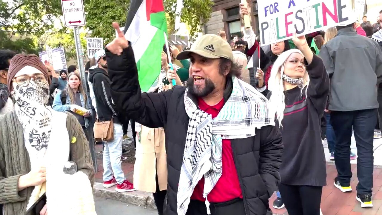'NAZIS': Pro-Palestine protester calls Israelis 'animals'