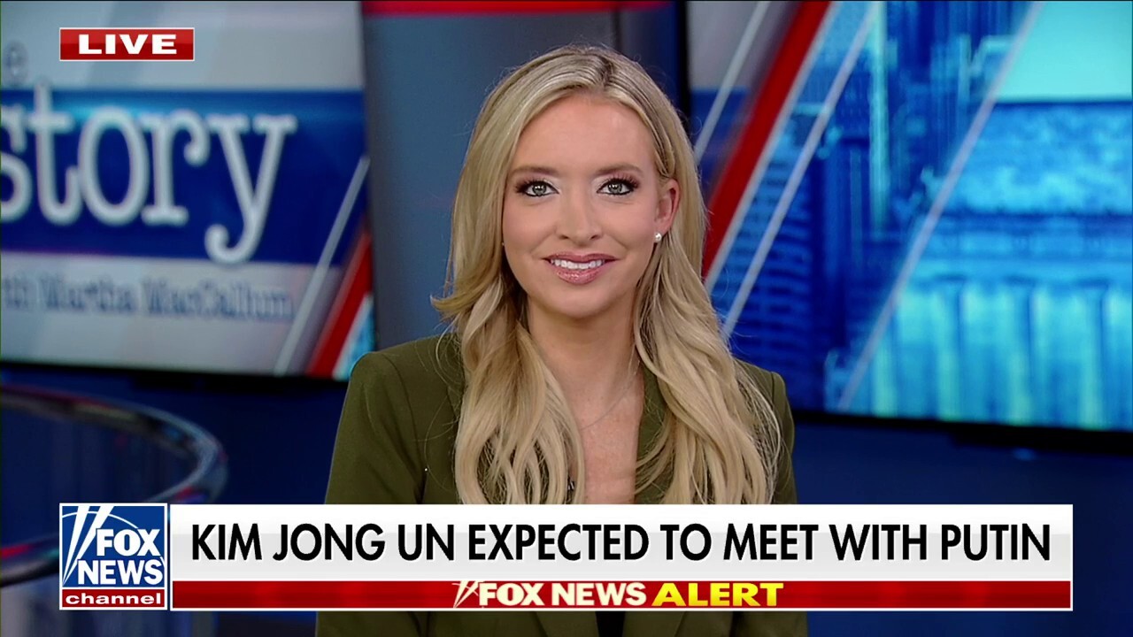 Kayleigh McEnany: I can't imagine cutting my boss off like that on the world stage