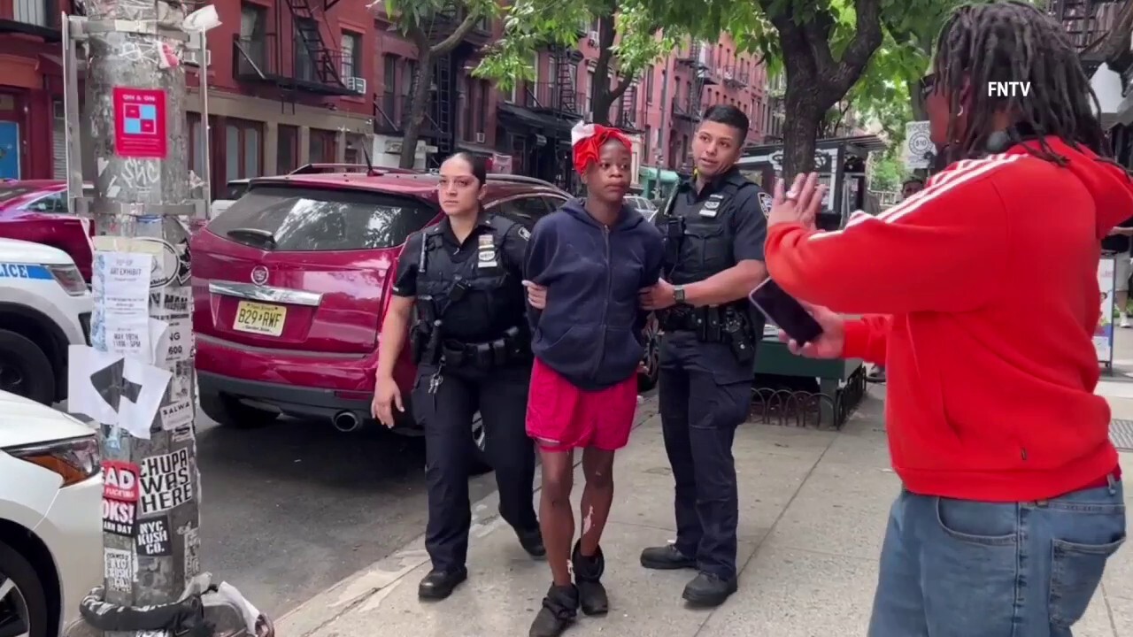 New York City rampage captured on camera as woman attacks bystanders