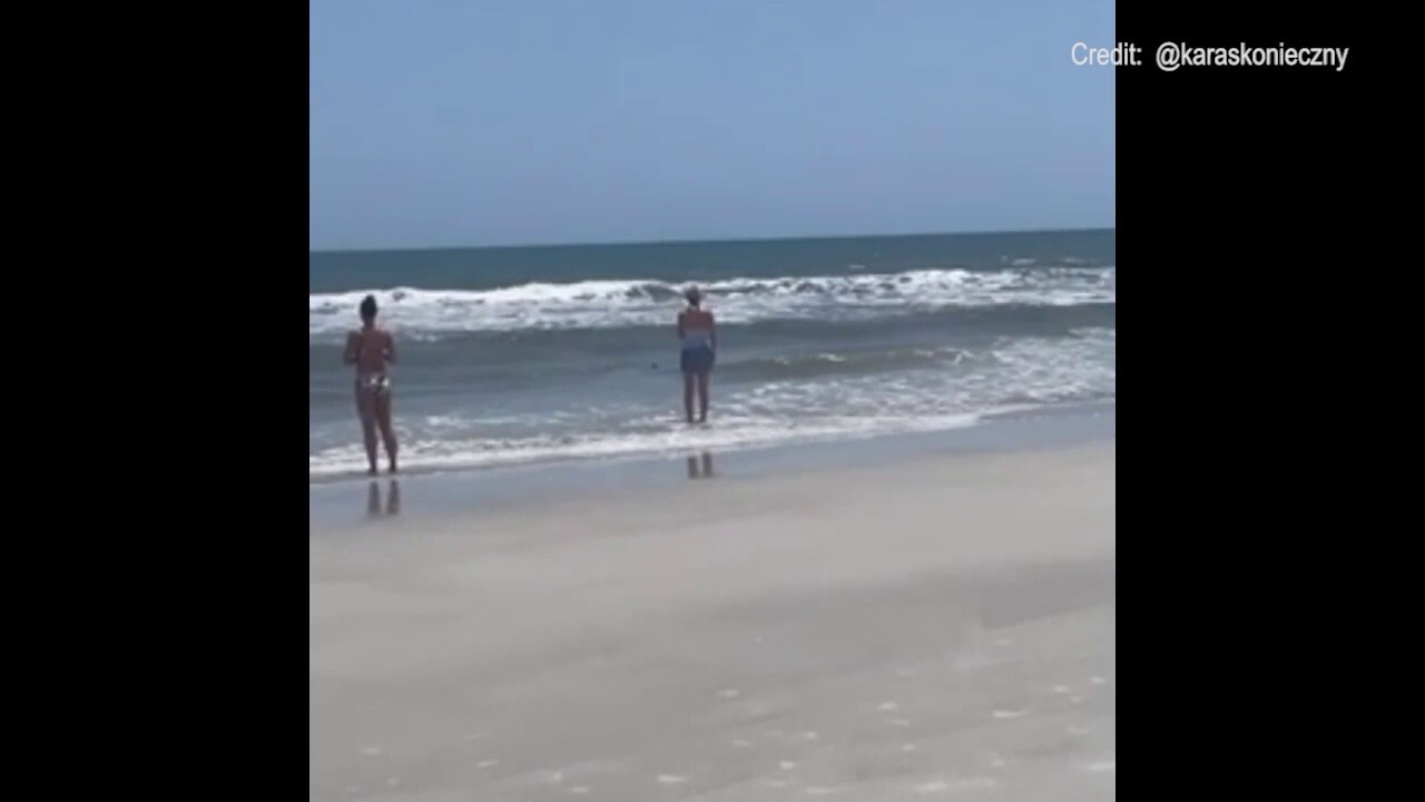 Sharks in shallow water at Neptune Beach in Jacksonville, Florida