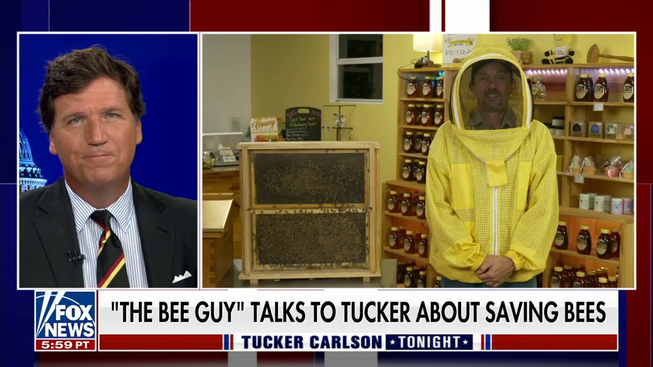 'The Bee Guy’ gives Tucker the buzz on saving bees from extinction