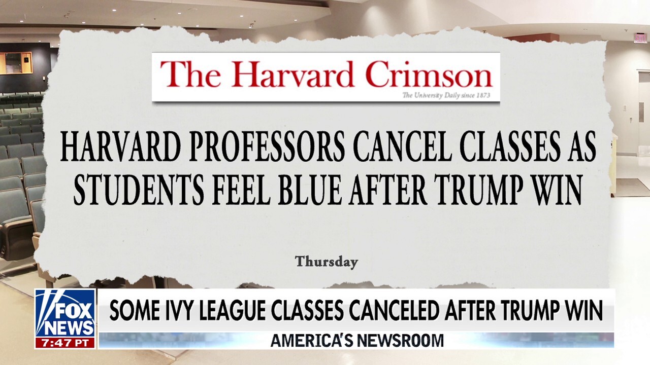 Ivy Leagues mocked for canceling classes after Trump win: 'This is ridiculous'