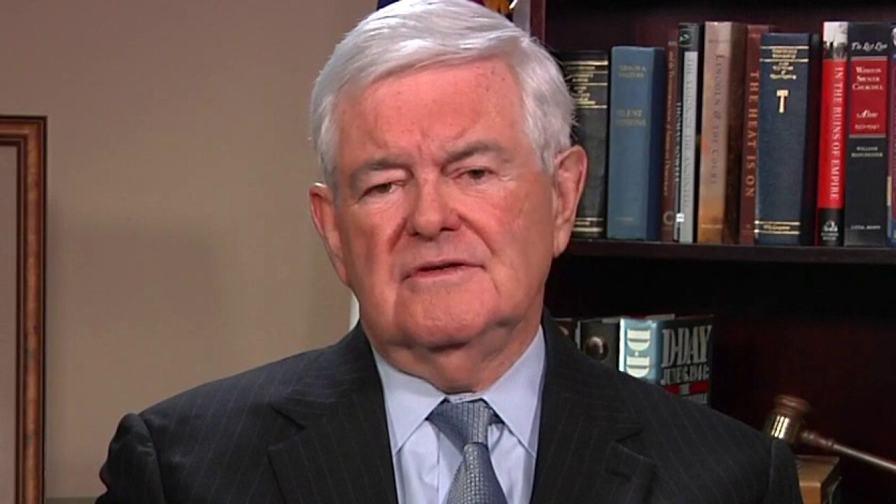 Newt Gingrich: 'The entire left is living in a fantasy world'