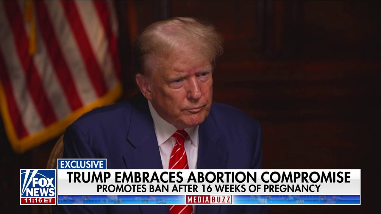 Trump reportedly promotes abortion ban after 16 weeks of pregnancy