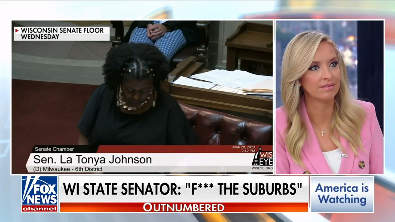 Democrat lawmaker torched over shocking 'f--- the suburbs' statement: A 'basket of deplorables' moment