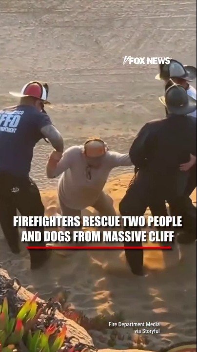 DRAMATIC RESCUE: San Francisco firefighters rescue dog, 2 adults