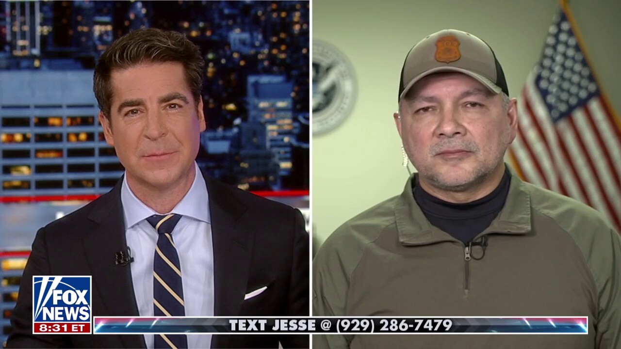I.C.E. executive associate director of enforcement and removal operations Marcos Charles blames ‘agitators’ and ‘vile protesters’ for impeding immigration enforcement on ‘Jesse Watters Primetime.’