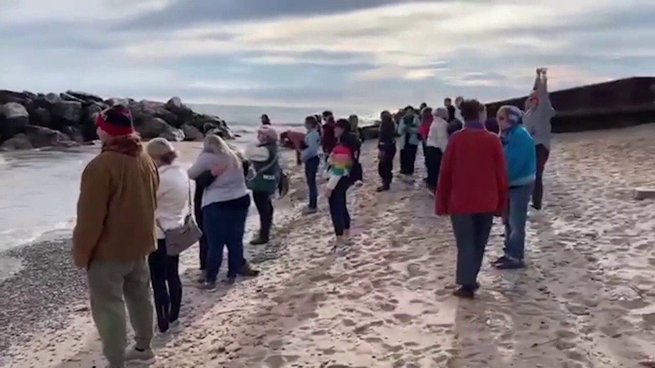 Wisconsin women unleash primal screams in protest of Trump win: video