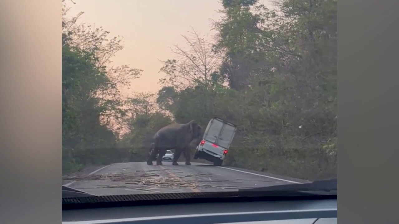 Aggressive wild elephant in Thailand tips over truck in its path