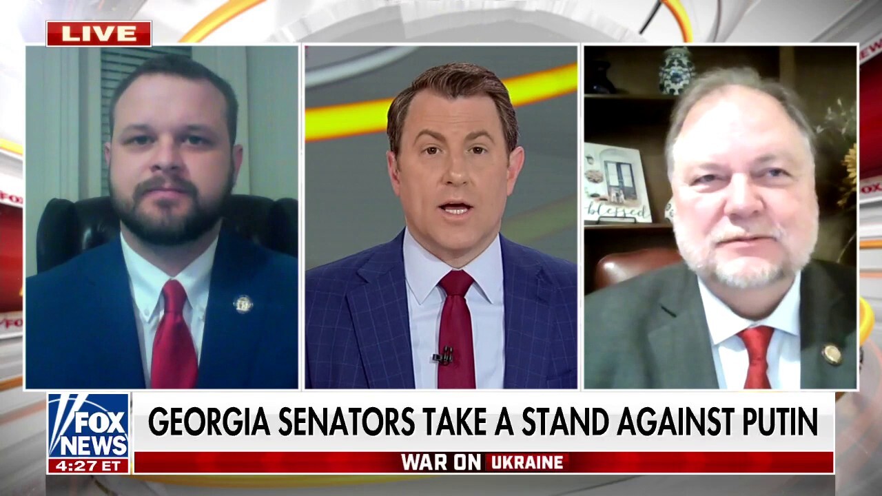 Georgia state senators take a stand against Putin