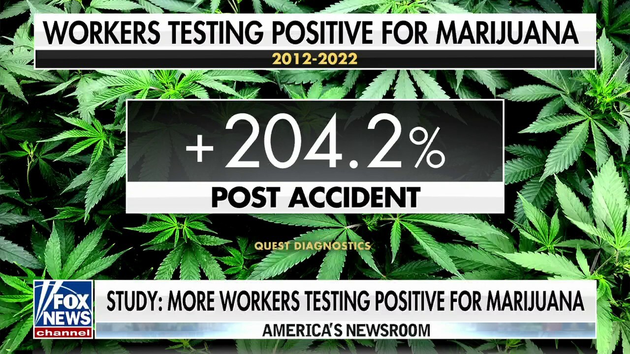 Workers testing positive for marijuana hits highest level in 25 years: Study