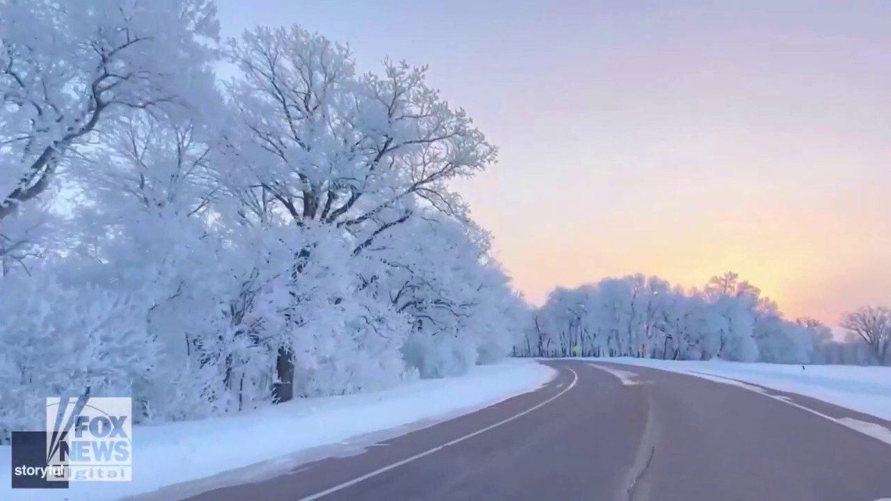 Striking winter scene shows frosty Minnesota forest 